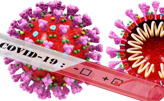 883 нови случая на коронавирус, 8,3% от изследваните, 54 починали за денонощие