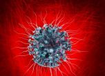 Още 910 заразени с коронавирус, 7,3% от пробите положителни