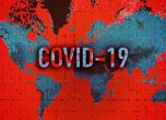16% спад на новите случаи на COVID-19 отчита СЗО