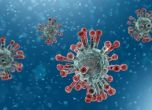 Заразените с коронавирус вече са 18,7% от изследваните