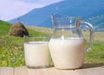 Активни потребители: Млякото в България масово е пълно с млечна пудра