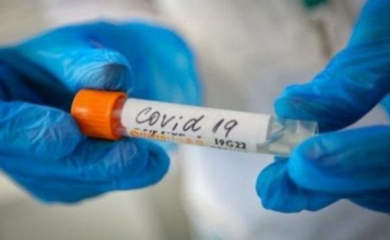 4162 нови случая на заразени с коронавирус, 115 загубиха битката за живот