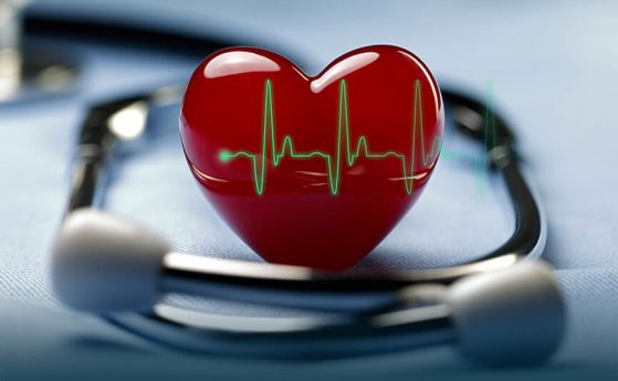 Измерват сърдечносъдовия риск в пет града в страната