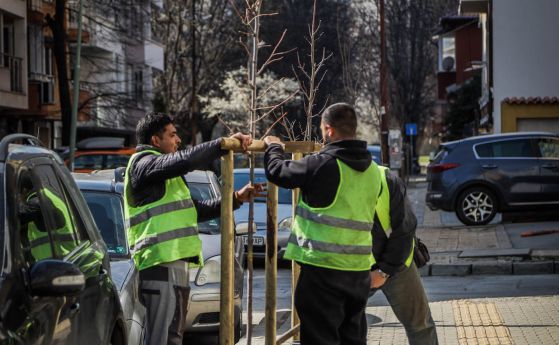 1700 фиданки ще бъдат засадени тази пролет в София