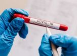 Още 4004 с коронавирус от направени 17 576 теста