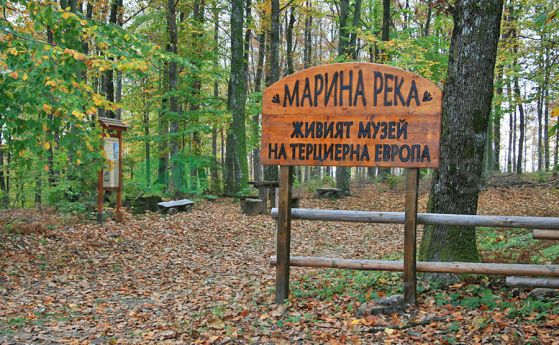 Екопътека ''Марина река'' е живият музей на парк ''Странджа''