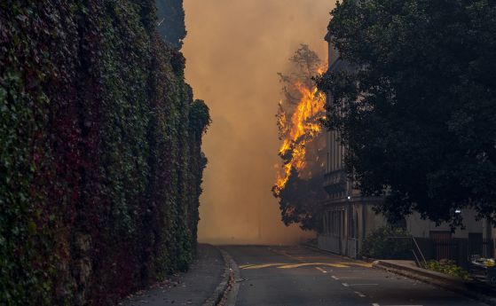 Горски пожар руши Кейптаун (видео)
