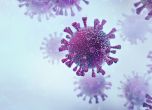 Над 3 млн. са жертвите на коронавируса по света, България е на 5 място по смъртност