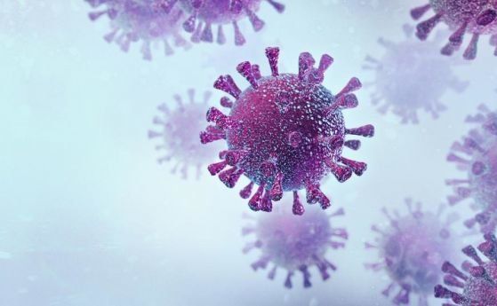 14-15% новозаразени с коронавирус за денонощие обяви доц. Кунчев