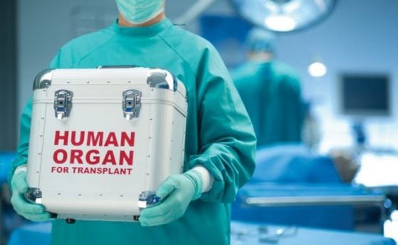 Две бъбречни трансплантации извършиха в болница ''Лозенец''