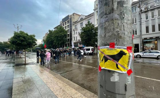 Десетки се събраха на протест пред Съдебната палата