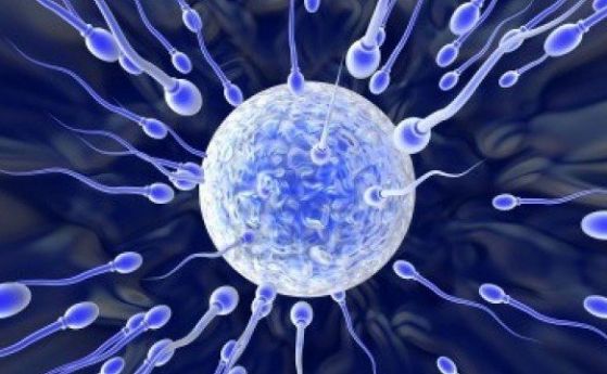 Коронавирусът може да предизвика репродуктивни проблеми при мъжете