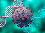 Учен от Станфорд: SARS-коронавирусите еволюират към по-смъртоносни, играем опасна игра с COVID-19