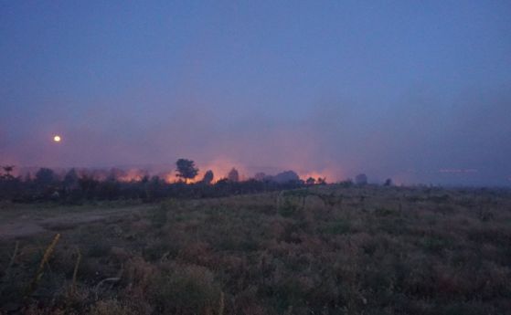 Овладян е пожарът в Сакар планина