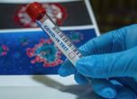 СЗО: В Европа  68% от заразените с коронавирус са с Делта вариант