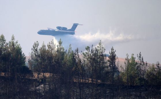 Ердоган обяви за бедстващи зони местата с пожари в Анталия, Мугла, Мерсин, Адана и Османия (Снимки)