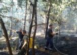 9 пожара бушуват и днес в България, 216 сигнала за нови огнища само за 24 часа