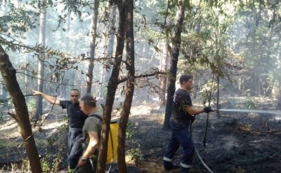 9 пожара бушуват и днес в България, 216 сигнала за нови огнища само за 24 часа