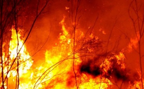 Прокуратурата разследва инцидента със загиналите в пожара лесничеи