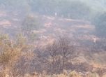 Смъртоносният пожар в Петрово се разгоря и вече обхваща 300 дка