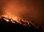 Пожар в Кюстендилско прескочи границата със Сърбия (допълнена)