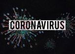 549 нови случая на коронавирус у нас за последните 24 часа