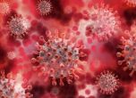 Рязък скок на заразените с коронавирус, над 770 за денонощие