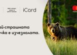 The Bear Card: дарителска карта в подкрепа на българските мечки от WWF България, iCard и Mastercard