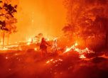 Пожарникари се борят с пламъците край Радомирци и Рупци