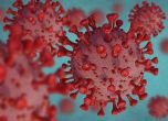 Разузнаването на САЩ не успя да открие истината за произхода на коронавируса