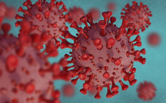 Разузнаването на САЩ не успя да открие истината за произхода на коронавируса