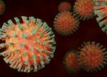 Над 79 хиляди са с коронавирус в момента