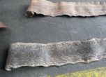 Откриха кожи от кайман, анаконда и боа в карго пратка от Аржентина (снимки)