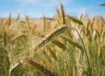 Кабинетът 'Петков' слага край на феодализма в земеделието и инвестира в родното производство