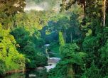 Индонезия мести столицата си в джунглата на о. Борнео