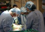 Успешно трансплантираха свински бъбреци на човек в мозъчна смърт