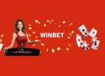 Как Winbet казино стана любима онлайн марка за залози в България?
