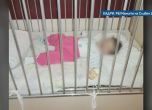 Майки: В Сливенската педиатрия държат бебетата вързани
