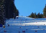 Над 200 деца на ски състезание на Мальовица