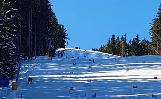 Над 200 деца на ски състезание на Мальовица