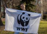 Часът на Земята на WWF обедини хиляди хора у нас в името на природата