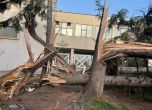 Частично бедствено положение във Враца заради ураганния вятър (снимки)