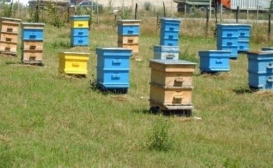 Отпуснаха 32 млн. лв. за земеделски стопани, помощ ще има и за пчелари