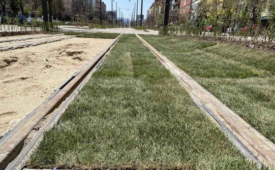 Засаждат тревата на 'зеления трамвай' от Руски паметник до Македония (снимки)