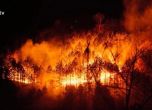 Голям пожар в община Струмяни