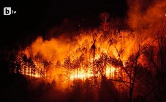 Голям пожар в община Струмяни