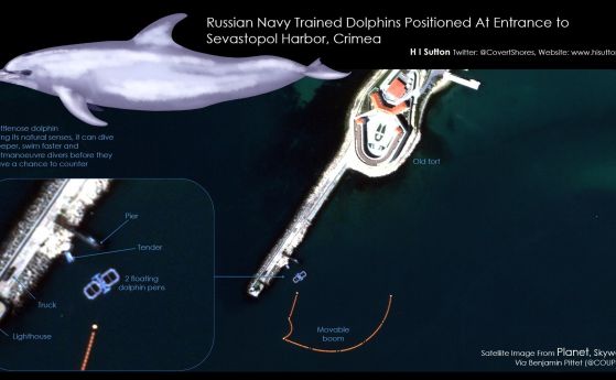 Русия пази с бойни делфини пристанището в Севастопол от украински водолази