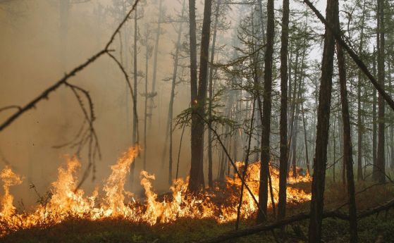 Извънредно положение в Красноярск заради пожари, има загинали