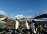 България ще плаща двойно повече за експедиции до Антарктида