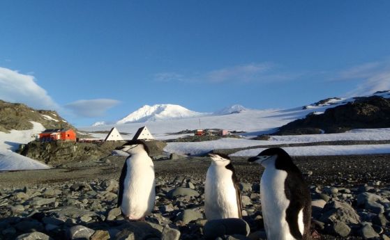 България ще плаща двойно повече за експедиции до Антарктида